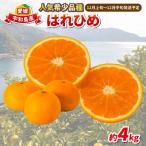 はれひめ 4kg