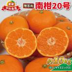 南柑20号 10kg