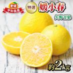 特選媛小春 2kg