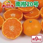 南柑20号 9kg