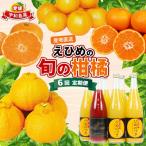 えひめの旬の柑橘 6回定期便 えひめ南農業協同組合