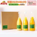 柑橘ソムリエセレクト ジュース定期便 春