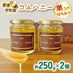 コムハニー 250g