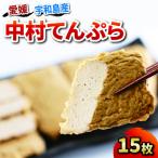 中村てんぷら 15枚
