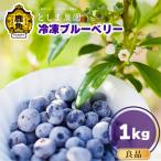 冷凍ブルーベリー 良品 1kg