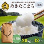 あきたこまち 白米 20kg×12カ月