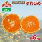 訳あり はれひめ 約6kg