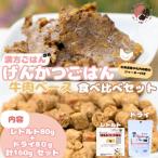 げんかつごはん土 牛肉ベースドライ&amp;レトルト食べ比べ…