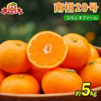 南柑20号 5kg