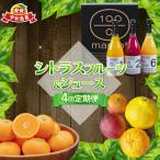 シトラスフルーツ ジュース4回定期便 コルレオファーム
