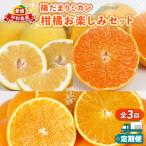定期便3回 早生みかん 愛果28号 河内晩柑お楽しみセット