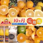 10ヶ月定期便 柑橘8品種 ジュース 伊達米