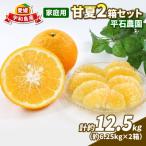 甘夏 6.25kg