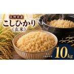 令和8年産 コシヒカリ玄米 10kg