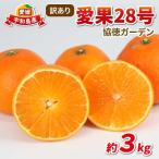訳あり愛果28号3kg 協徳ガーデン B010-178017