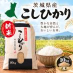 R8年産 新米 コシヒカリ 10kg