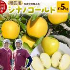 りんご シナノゴールド 約5kg