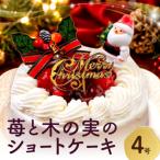 苺と木の実のショートケーキ4号_0105-004-S06-c