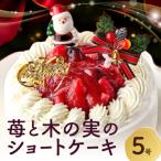 苺と木の実のショートケーキ5号_0105-005-S06-c