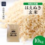 はえぬき 10kg