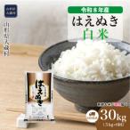 はえぬき 30kg定期便 5kg×6回