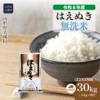 はえぬき 30kg定期便 5kg×6回