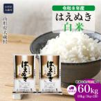 はえぬき 60kg定期便 10kg×6回