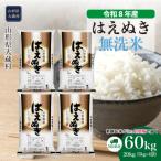 はえぬき 60kg定期便 20kg×3回
