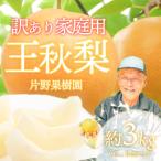 王秋梨 約3kg