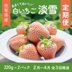 産いちご 淡雪 220g×2パック