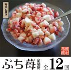 ふるさと納税 宇土市 【毎月定期便】完熟冷凍いちご「ぷち苺」1kg(500g×2袋) 全12回