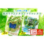 fu.... налог прекрасный . блок [ каждый месяц установленный срок рейс ] низкий калий lettuce &amp; оборка lettuce 6 шт. комплект все 5 раз 