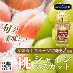 ふるさと納税 笛吹市 【発送月固定定期便】山梨の美味しい果物 桃・シャインマスカット全2回