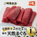 ふるさと納税 三浦市 【毎月定期便】老舗三崎まぐろ問屋から直送!天然マグロ赤身1kgをお届け全2回