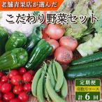 ショッピングふるさと納税 定期便 ふるさと納税 時津町 【発送月固定定期便】こだわり野菜セット 7品目以上 詰め合わせ (時津町)全6回