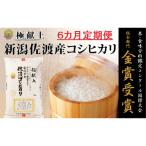 ふるさと納税 佐渡市 【毎月定期便】《無洗米》新潟県佐渡産コシヒカリ5kg  全6回