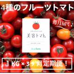 ふるさと納税 水戸市 【毎月定期便】ドロップファームの美容トマト1kg全3回