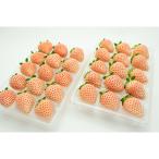 3種いちご食べ比べ2~4月 全3回