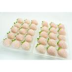 fu.... налог Saga город [ отправка месяц фиксация установленный срок рейс ] Saga префектура производство клубника . renkon 2~4 месяц все 3 раз 