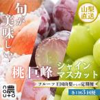 ふるさと納税 笛吹市 【発送月固定定期便】山梨の美味しい果物 桃・巨峰・シャインマスカット全3回