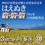 ふるさと納税 酒田市 【毎月定期便】「酒田の米農家から直送」はえぬき10kg 全3回