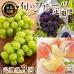 ショッピング果物 ふるさと納税 山梨市 【発送月固定定期便】山梨県産人気果物3種 桃・巨峰・シャインマスカット 全3回