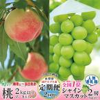ふるさと納税 南アルプス市 【発送月固定定期便】【山梨県産 定期便2回送り】南アルプスの果物セット 全2回