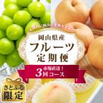 フルーツ定期便全3回