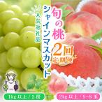 ショッピングふるさと納税 シャインマスカット ふるさと納税 笛吹市 【発送月固定定期便】山梨県産 旬の果物 2回送り 桃 シャインマスカット 全2回