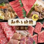 ふるさと納税 亀岡市 【毎月定期便】訳あり 京の肉&地鶏丹波黒どり・丹波赤どり お楽しみセット 全6回