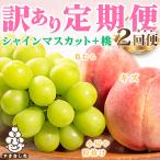 ショッピングふるさと納税 訳あり ふるさと納税 山梨市 【発送月固定定期便】訳あり ご家庭用 山梨県産 桃・シャインマスカット 全2回