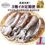 急速冷凍したお刺身で食べるイカ全3回