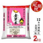 ふるさと納税 安来市 【毎月定期便】BG無洗米　金芽米きぬむすめ 2kg【毎月】全12回
