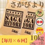 ふるさと納税 みやき町 【毎月定期便】さがびより白米10kg(5kg×2袋)【五つ星お米マイスター厳選!】全6回_SS519